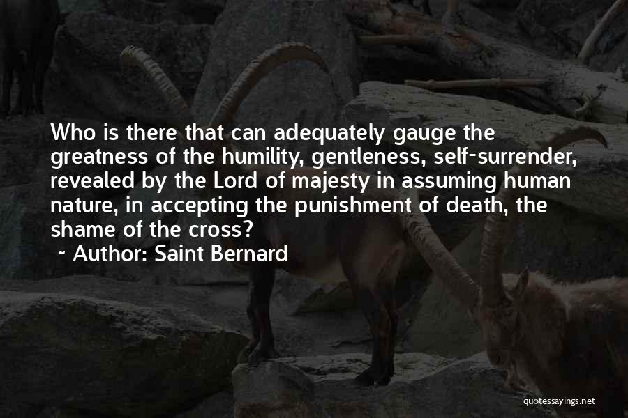 Saint Bernard Quotes 745357