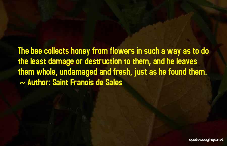 Saint Francis De Sales Quotes 1820855