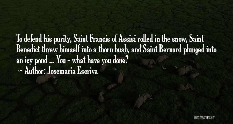 Saint Francis Quotes By Josemaria Escriva