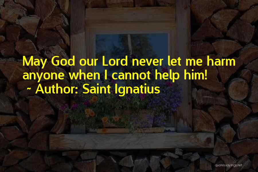 Saint Ignatius Quotes 2128546