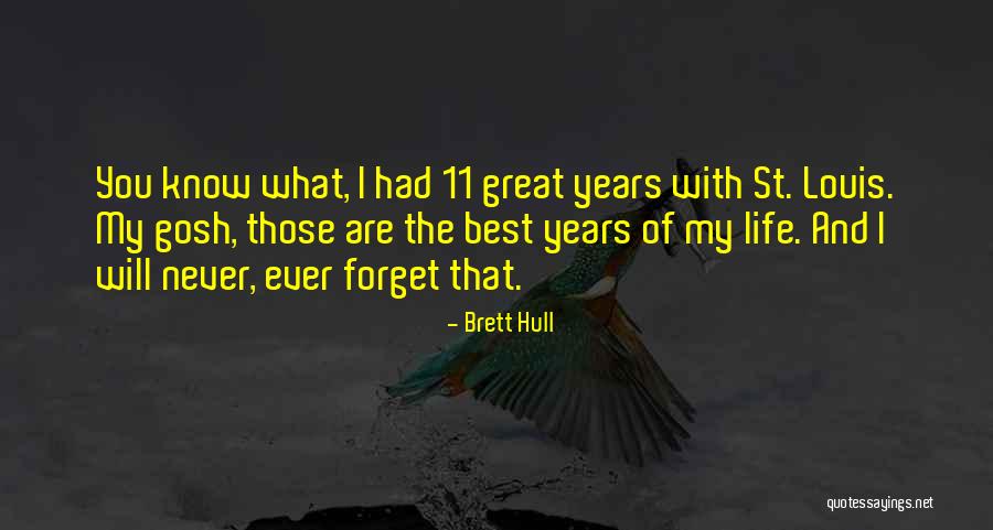 Saint Jerome Quotes By Brett Hull Saint Jerome Quotes By Brett Hull