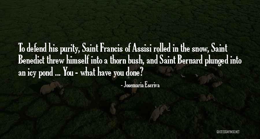 Saint Josemaria Escriva Quotes By Josemaria Escriva Saint Josemaria Escriva Quotes By Josemaria Escriva
