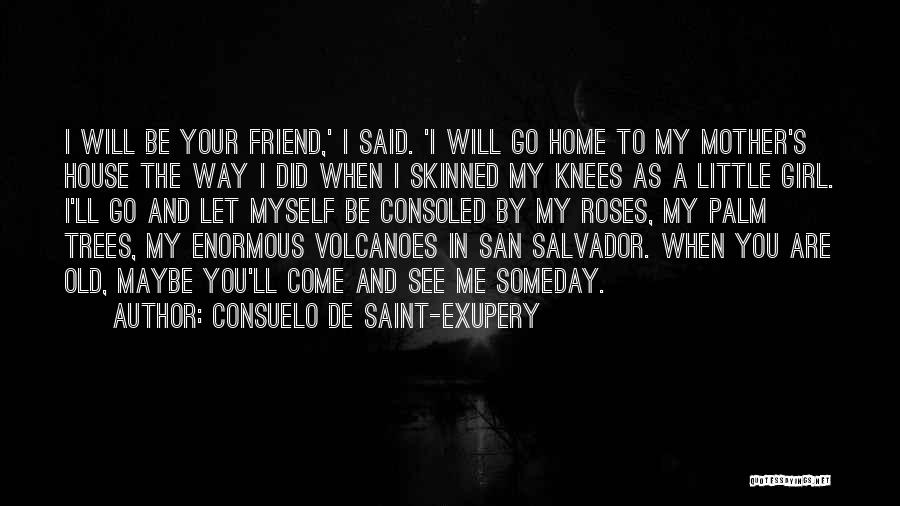 Saint Maybe Quotes By Consuelo De Saint-Exupery