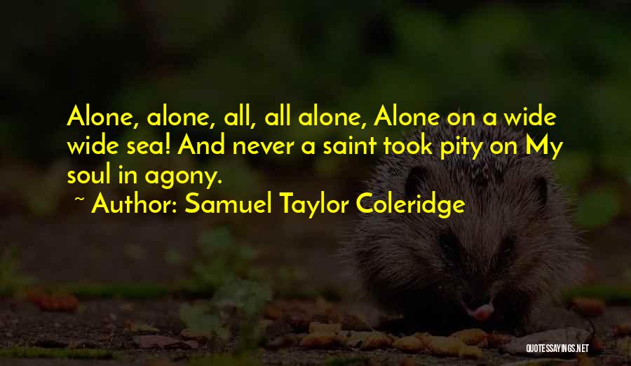 Saint Maybe Quotes By Samuel Taylor Coleridge