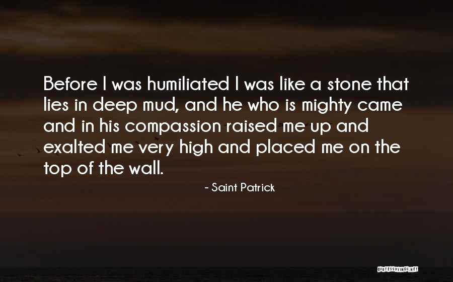 Saint Patrick Quotes 1633615 Saint Patrick Quotes 1633615