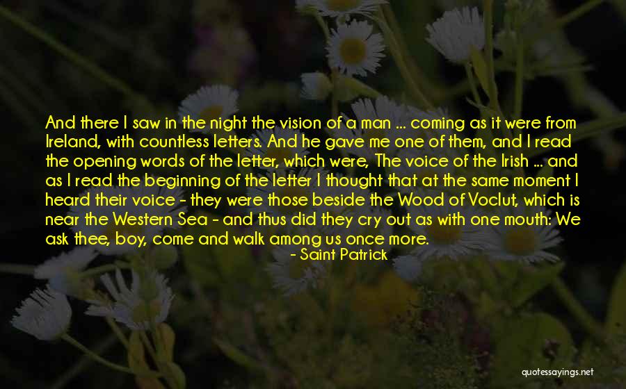Saint Patrick Quotes 1816970 Saint Patrick Quotes 1816970