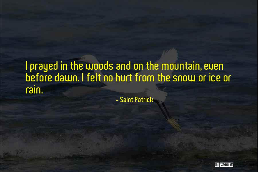 Saint Patrick Quotes 234476 Saint Patrick Quotes 234476