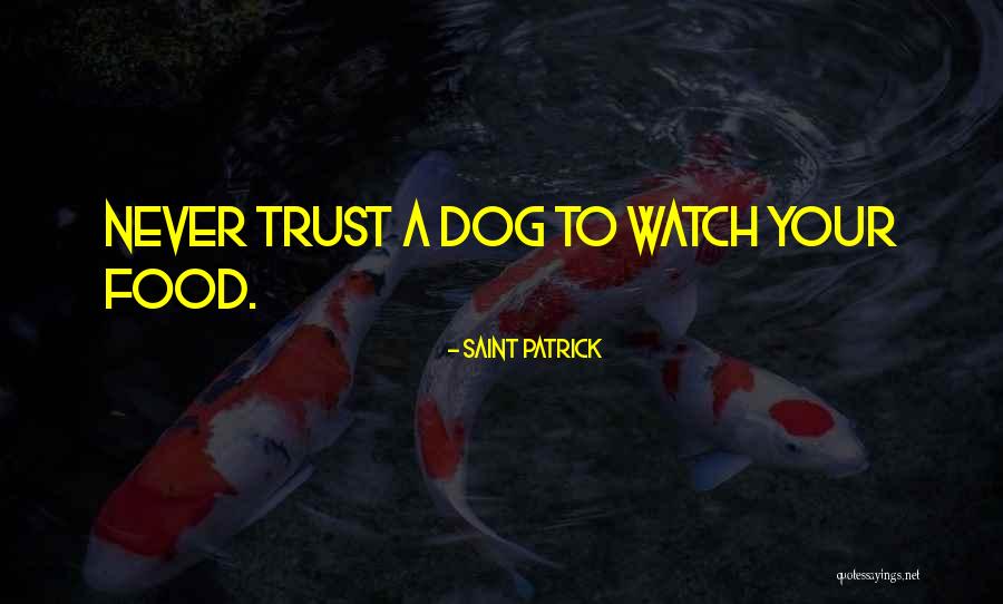 Saint Patrick Quotes 294448