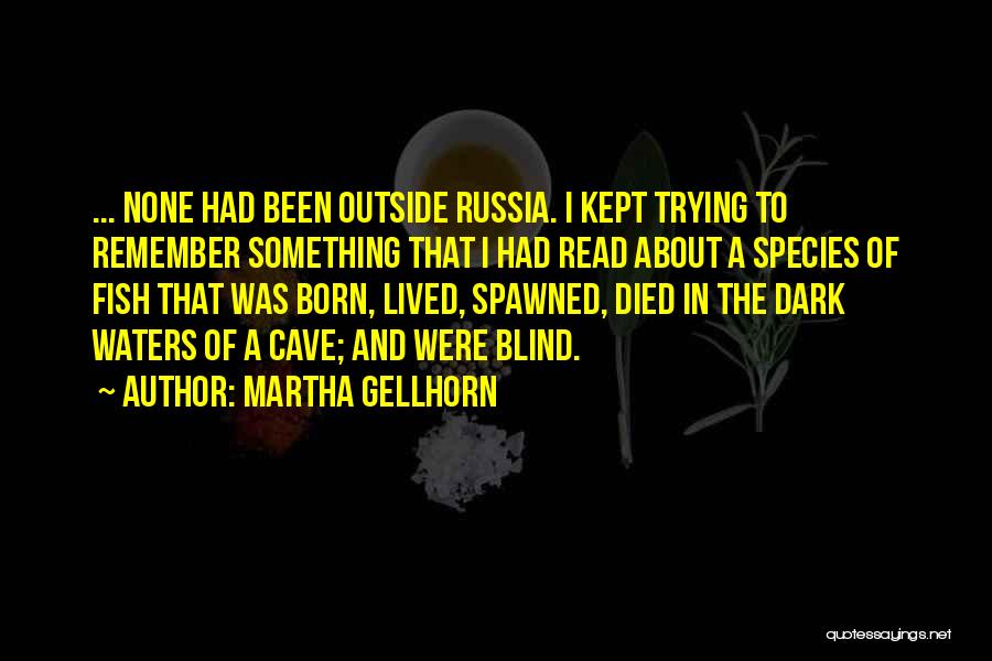 Saint Rosalia Quotes By Martha Gellhorn