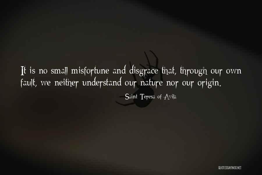 Saint Teresa Of Avila Quotes 1647501 Saint Teresa Of Avila Quotes 1647501