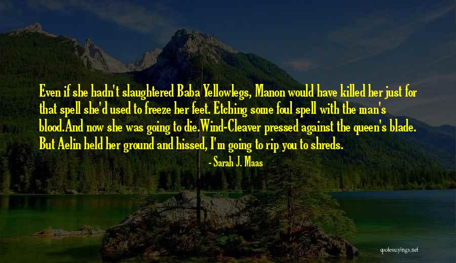 Saints Row The Third Genki Quotes By Sarah J. Maas Saints Row The Third Genki Quotes By Sarah J. Maas