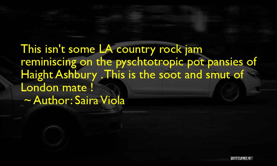 Saira Viola Quotes 1730111