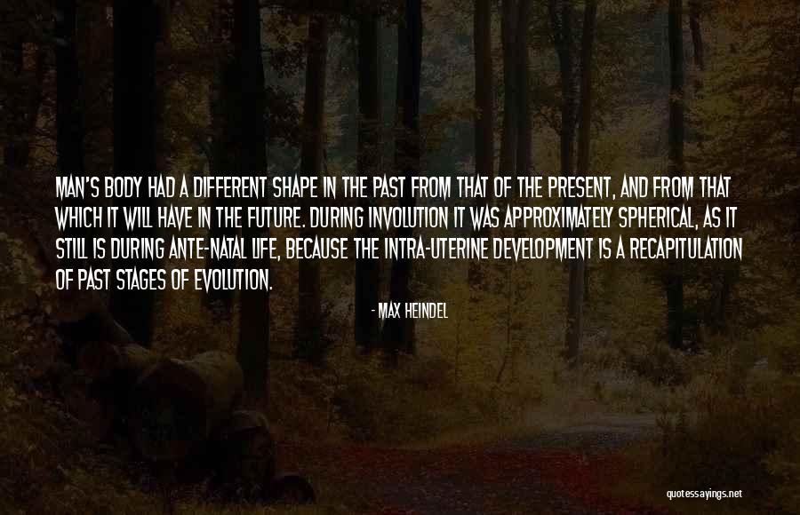 Sairausel Ke Quotes By Max Heindel Sairausel Ke Quotes By Max Heindel