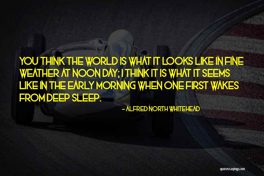 Saisie Quotes By Alfred North Whitehead Saisie Quotes By Alfred North Whitehead