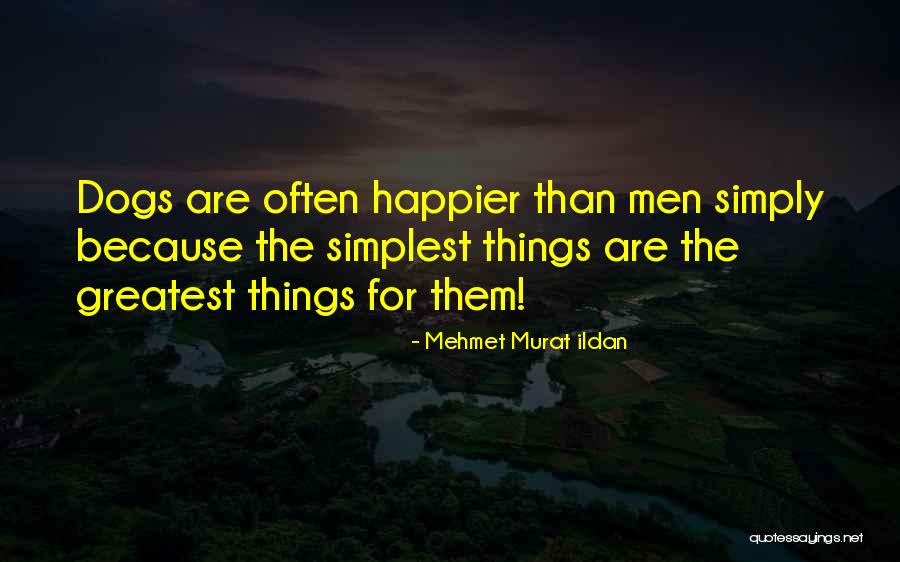Saisie Quotes By Mehmet Murat Ildan Saisie Quotes By Mehmet Murat Ildan