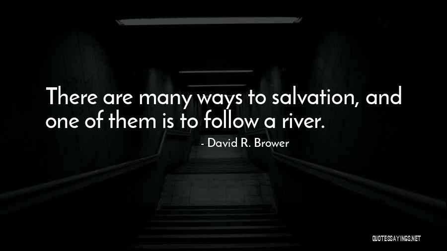Saisis La Quotes By David R. Brower Saisis La Quotes By David R. Brower