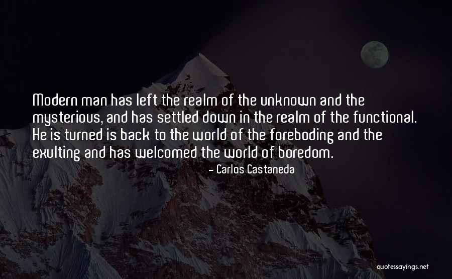 Saisissez Quotes By Carlos Castaneda Saisissez Quotes By Carlos Castaneda