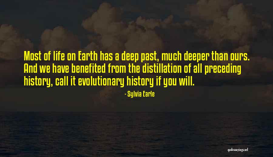 Saitou Amiri Quotes By Sylvia Earle Saitou Amiri Quotes By Sylvia Earle