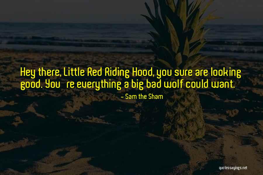 Saiva Siddhantam Quotes By Sam The Sham Saiva Siddhantam Quotes By Sam The Sham