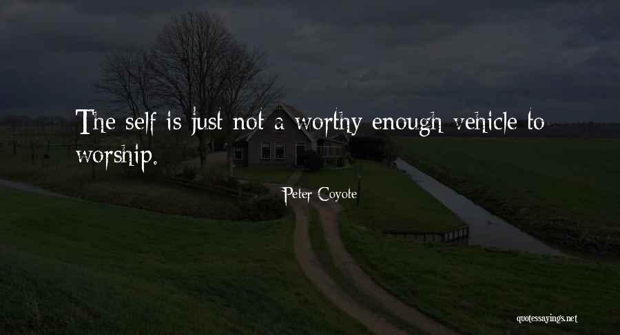 Sajeta Moji Quotes By Peter Coyote Sajeta Moji Quotes By Peter Coyote