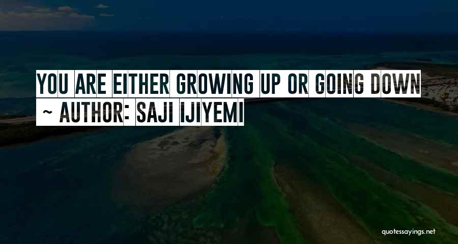 Saji Ijiyemi Quotes 1805946