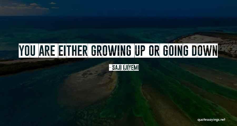 Saji Ijiyemi Quotes 1805946 Saji Ijiyemi Quotes 1805946
