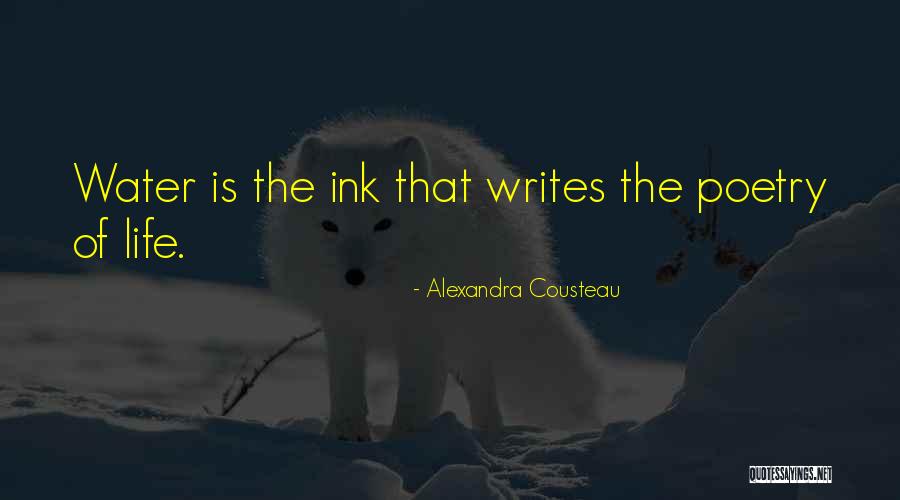Sakai Notre Dame Quotes By Alexandra Cousteau Sakai Notre Dame Quotes By Alexandra Cousteau