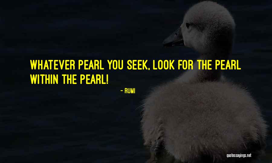 Sakamichi Onoda Quotes By Rumi Sakamichi Onoda Quotes By Rumi