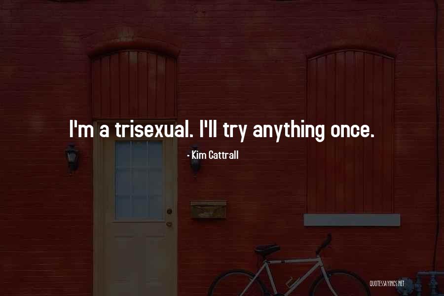 Sakamoto Desu Ga Quotes By Kim Cattrall