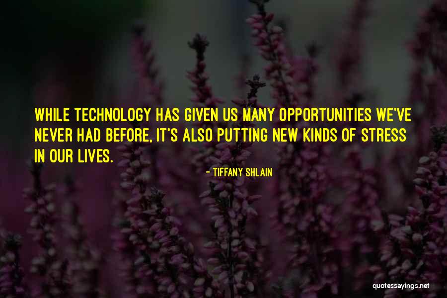 Sakashita Supermercados Quotes By Tiffany Shlain Sakashita Supermercados Quotes By Tiffany Shlain