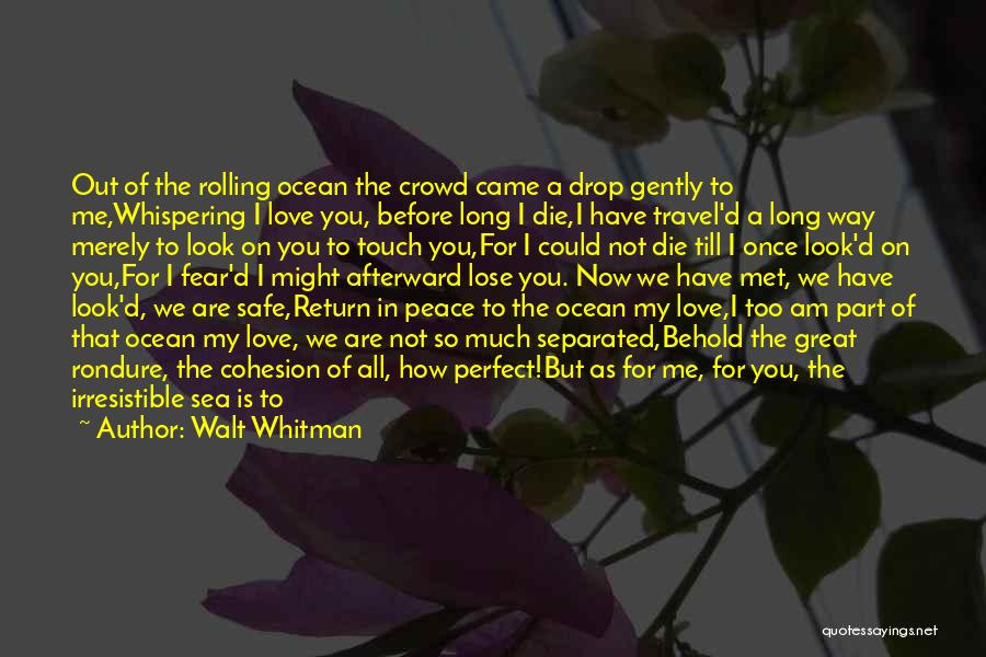 Sake Of Love Quotes By Walt Whitman