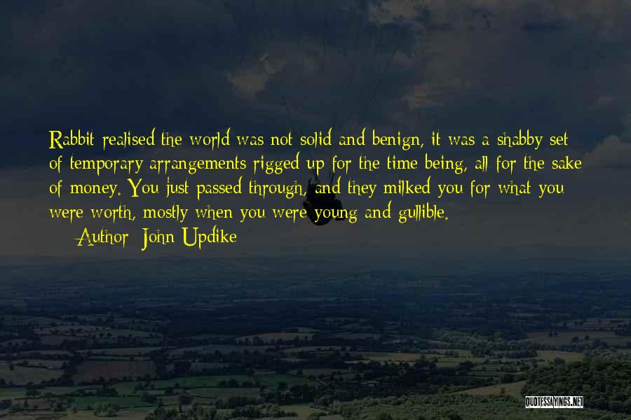 Sake Of Money Quotes By John Updike