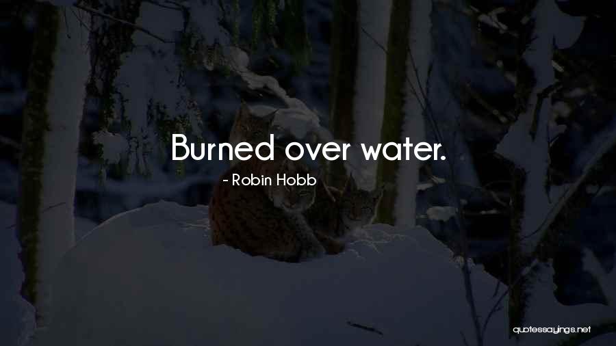 Sakeena Shearer Quotes By Robin Hobb Sakeena Shearer Quotes By Robin Hobb