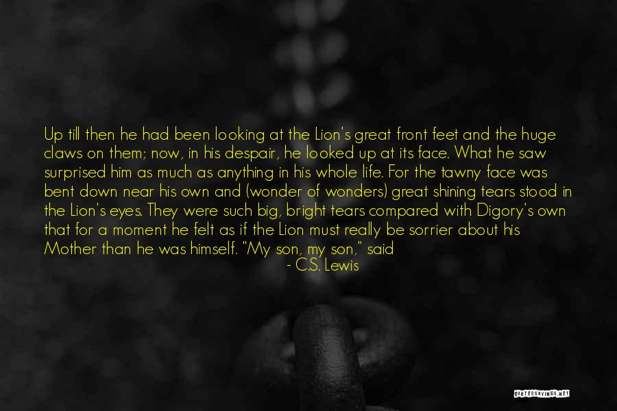 Sakher Dudin Quotes By C.S. Lewis Sakher Dudin Quotes By C.S. Lewis