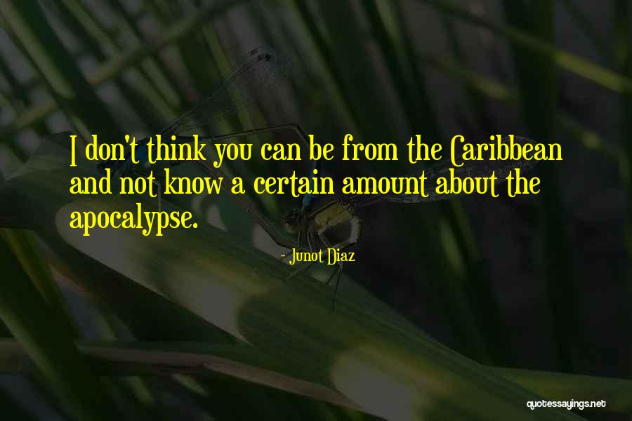 Sakhi Quotes By Junot Diaz Sakhi Quotes By Junot Diaz