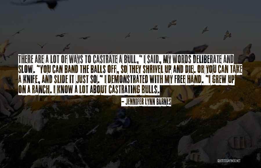 Sakhrat Quotes By Jennifer Lynn Barnes Sakhrat Quotes By Jennifer Lynn Barnes