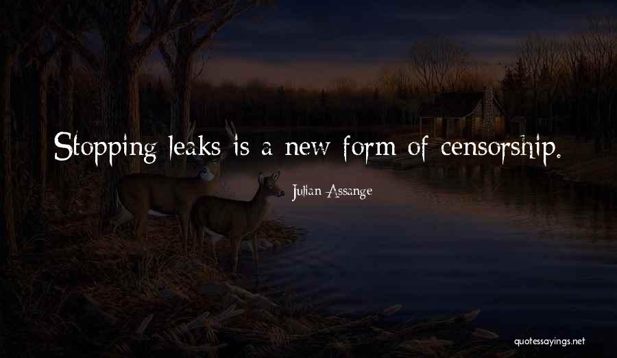 Sakke Maidique Quotes By Julian Assange Sakke Maidique Quotes By Julian Assange