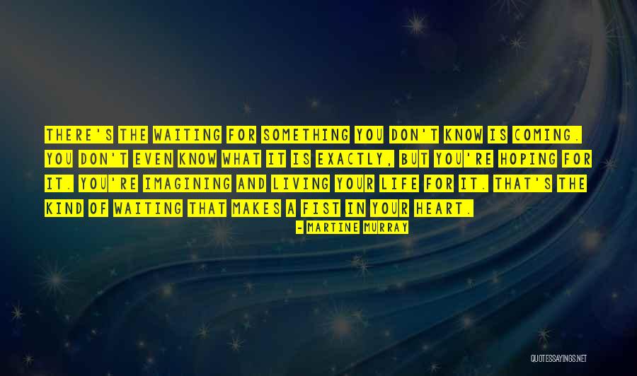 Sakke Onder Quotes By Martine Murray Sakke Onder Quotes By Martine Murray