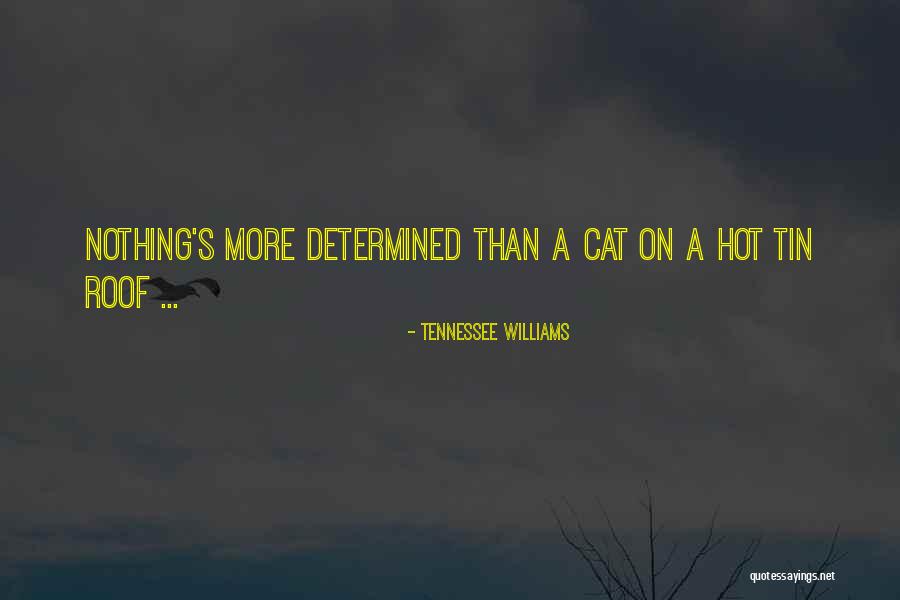 Sakriti Broj Quotes By Tennessee Williams Sakriti Broj Quotes By Tennessee Williams