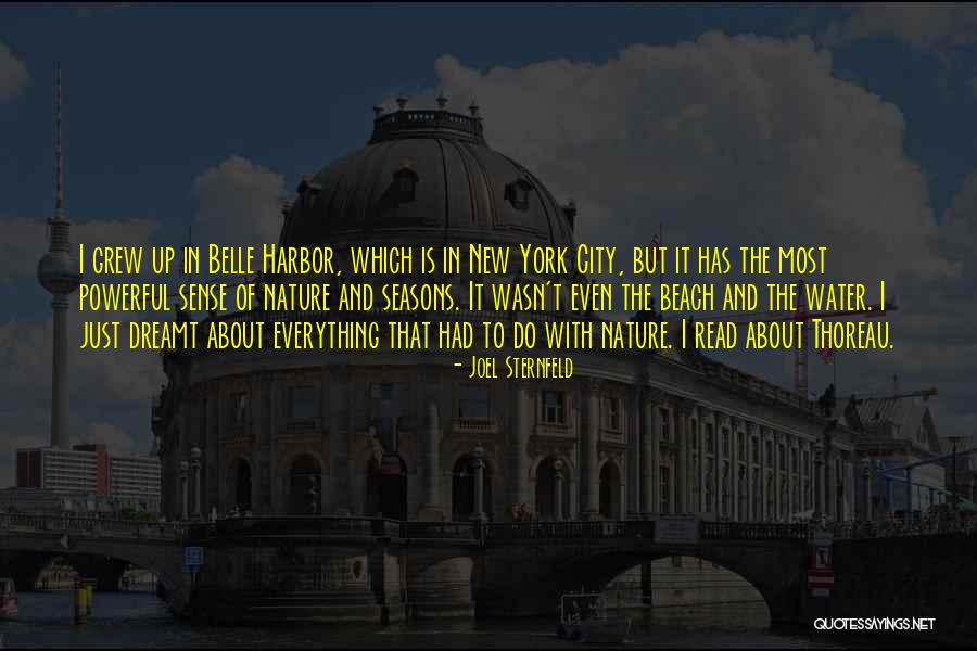 Saksit Quotes By Joel Sternfeld Saksit Quotes By Joel Sternfeld