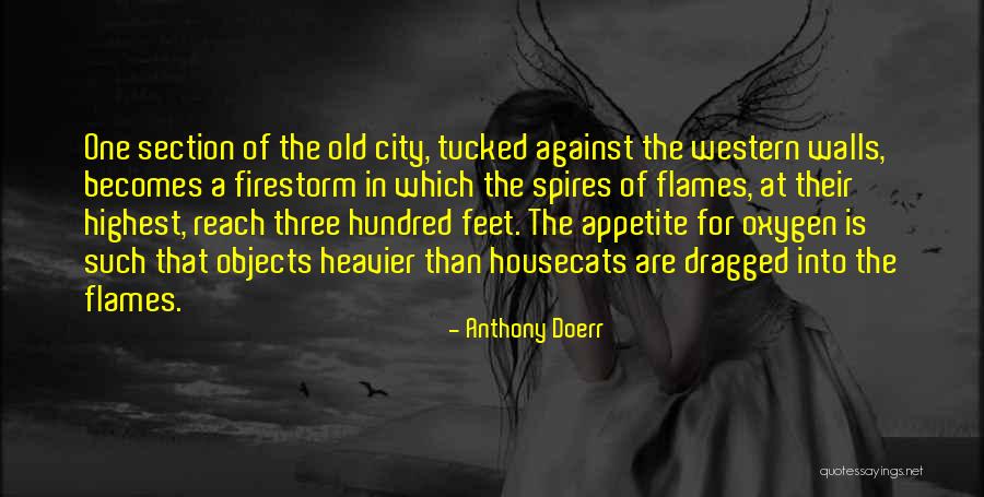 Sakuya Sakuma Quotes By Anthony Doerr Sakuya Sakuma Quotes By Anthony Doerr