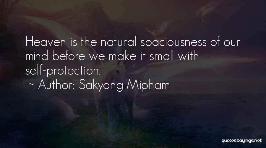 Sakyong Mipham Quotes 1642745