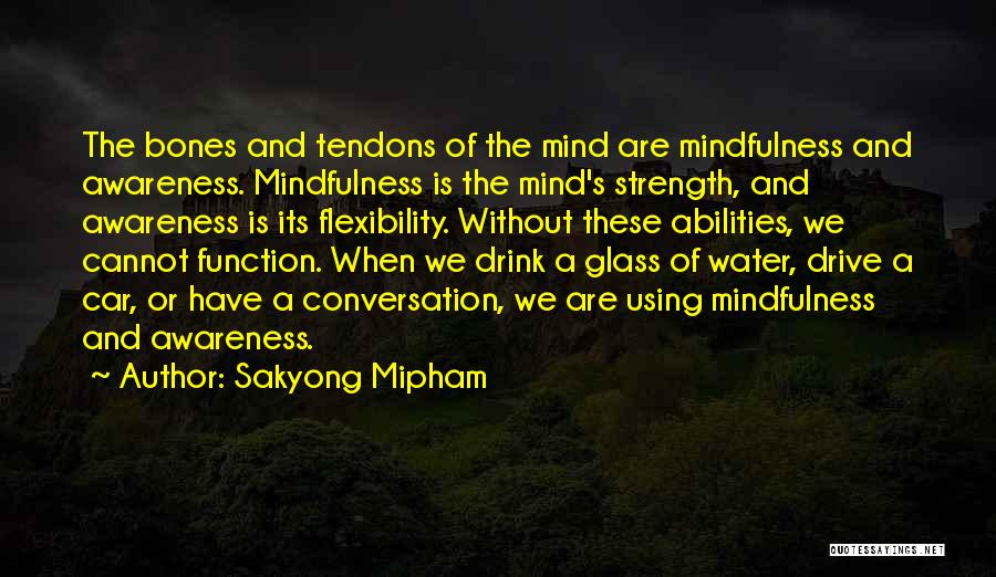 Sakyong Mipham Quotes 370842