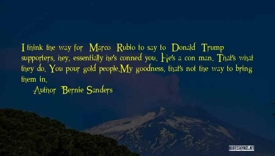 Salable Synonyms Quotes By Bernie Sanders