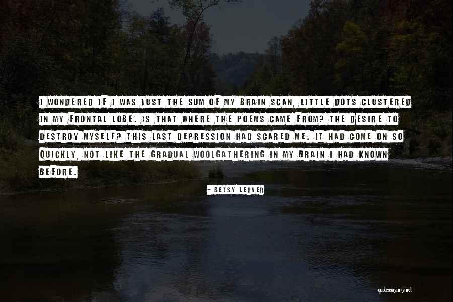 Saladyn Quotes By Betsy Lerner Saladyn Quotes By Betsy Lerner