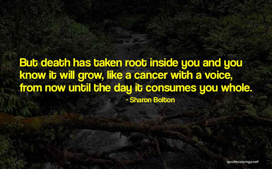 Salaheddin Aleppo Quotes By Sharon Bolton Salaheddin Aleppo Quotes By Sharon Bolton