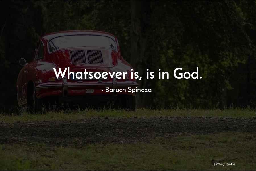 Salaise Quotes By Baruch Spinoza Salaise Quotes By Baruch Spinoza