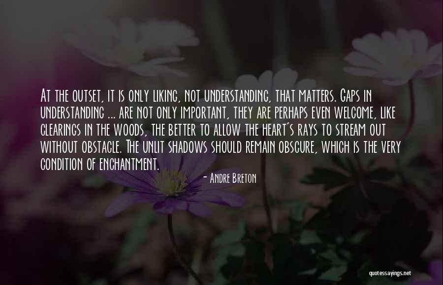 Salamandastron Characters Quotes By Andre Breton Salamandastron Characters Quotes By Andre Breton