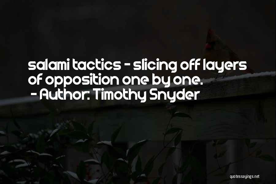 Salami Quotes By Timothy Snyder