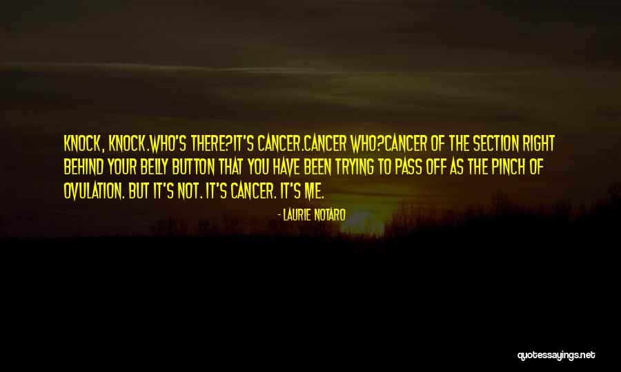 Salamone Quotes By Laurie Notaro Salamone Quotes By Laurie Notaro
